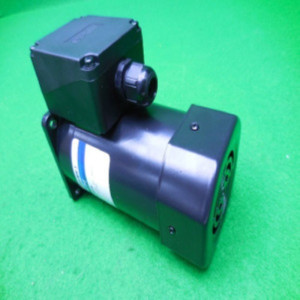 10570/서보모터/9IDG2-180FWH-T/단상AC220V180W/DKM